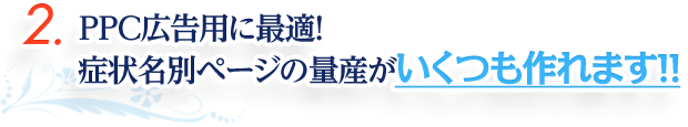 2.PPC広告用に最適！症状名別ページの量産がいくつも作れます！！