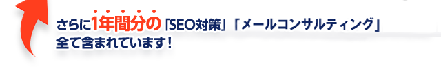 1年間分の「SEO対策」「グーグルマップ対策」「口コミ対策」全て含めれています！